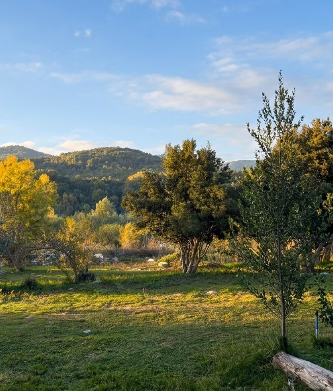 Áreas verdes del recinto con vista a los cerros