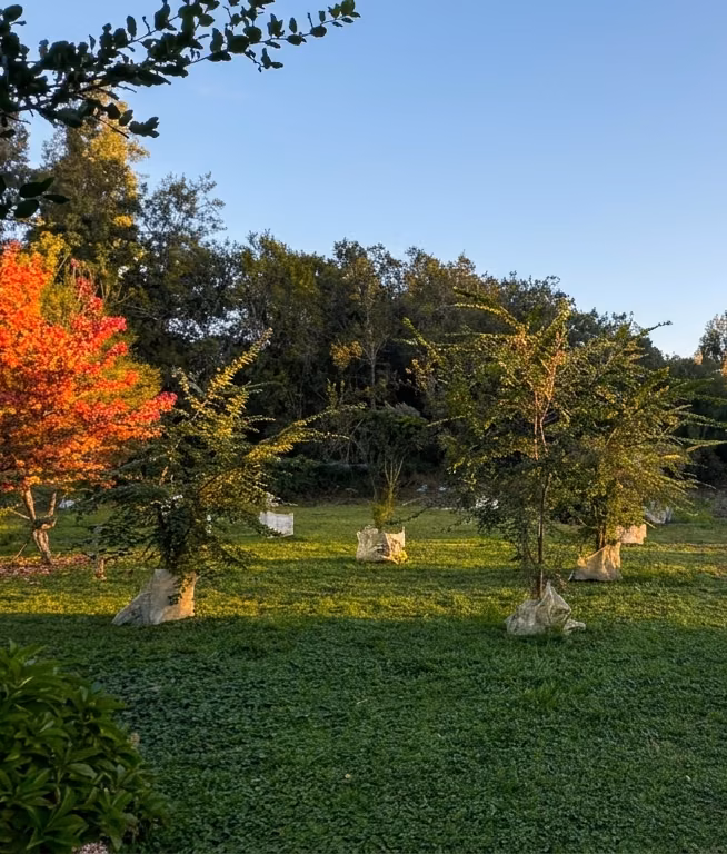 Jardín del recinto en otoño